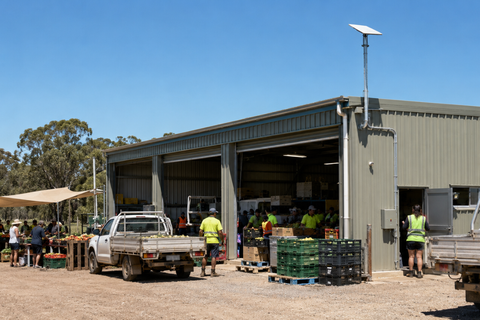 Seasonal business internet setup at a rural harvest and packing site using a fixed satellite receiver